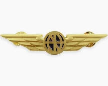 PILOT WINGS, UNIVERSAL AVIATOR LAPEL WING PIN