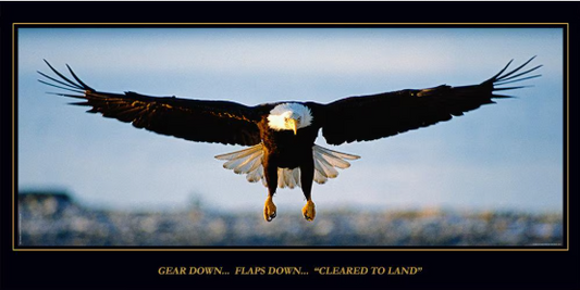 CLEARED TO LAND, EAGLE POSTER, LAMINATED